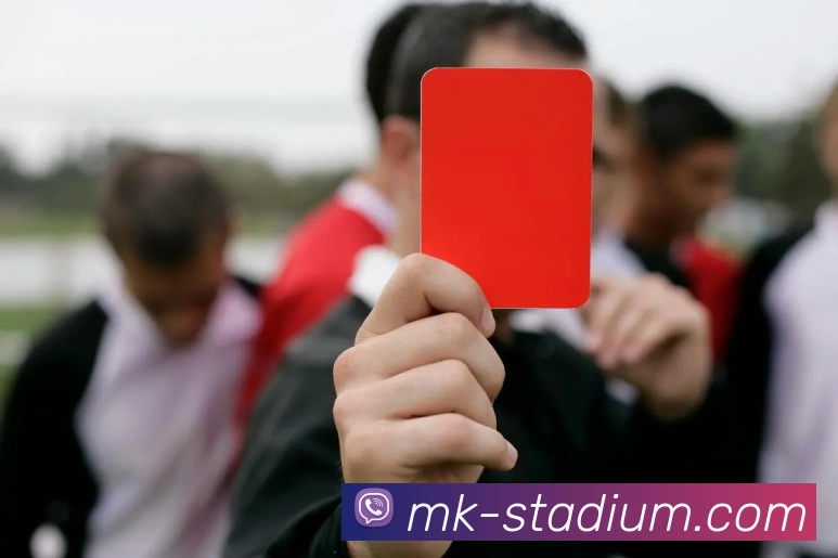 MK体育下载全新体验攻略及最新功能全面解析指南